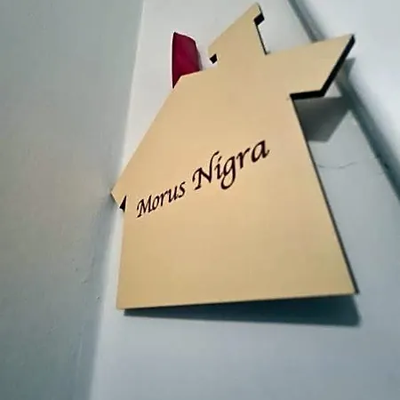 Nocleg ze śniadaniem Mulberry House Trani