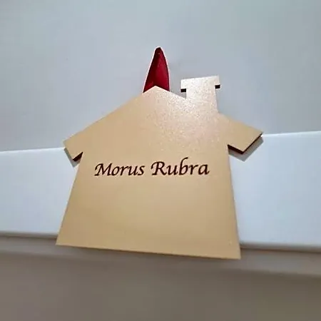 Mulberry House Bed & Breakfast Trani